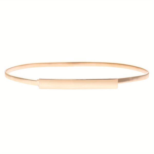 Elegant Silvery Leaf Metal Belt for Women - Stretchy, Slim Design with Buckle, Perfect for Casual, Party, Wedding, and Daily Wear - Fashionable Chain and Bow Accents, Fashion Belt | Minimalist Waistband | Durable Metal Bel - Image 13