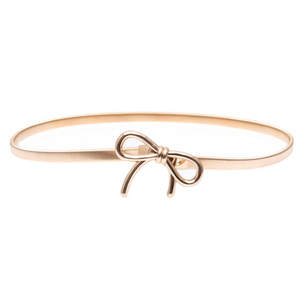 Elegant Silvery Leaf Metal Belt for Women - Stretchy, Slim Design with Buckle, Perfect for Casual, Party, Wedding, and Daily Wear - Fashionable Chain and Bow Accents, Fashion Belt | Minimalist Waistband | Durable Metal Bel - Image 17